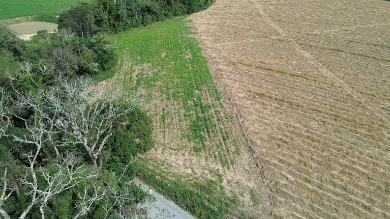 Acesso e área de campo do sítio de aproximadamente 0,6 ha
