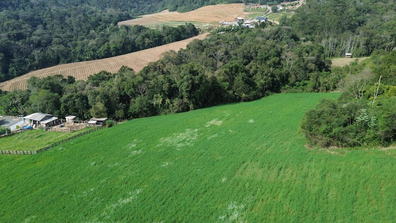 Vista ampla da área rural do sítio de 2 ha
