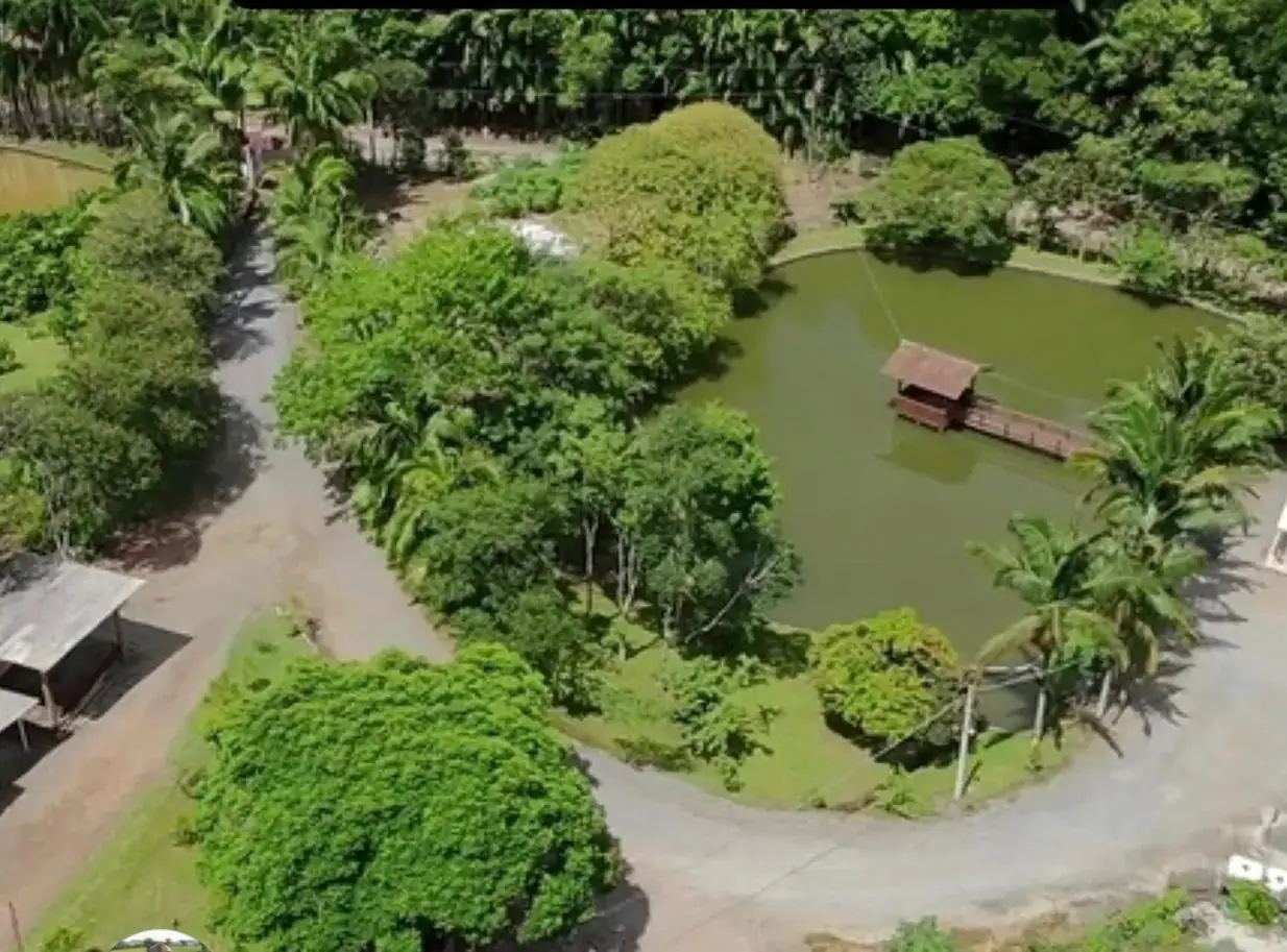 Sítio de 7,5 ha em Presidente Nereu — foto 4
