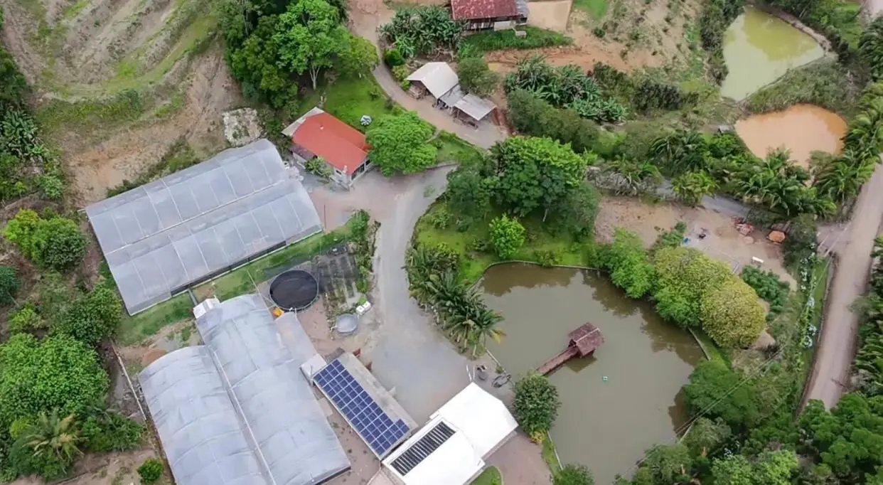 Sítio de 7,5 ha em Presidente Nereu — foto 5