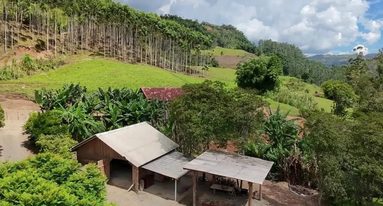 Sítio de 7,5 ha em Presidente Nereu — foto 6