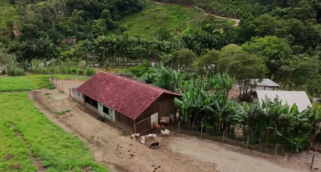 Sítio de 7,5 ha em Presidente Nereu — foto 19