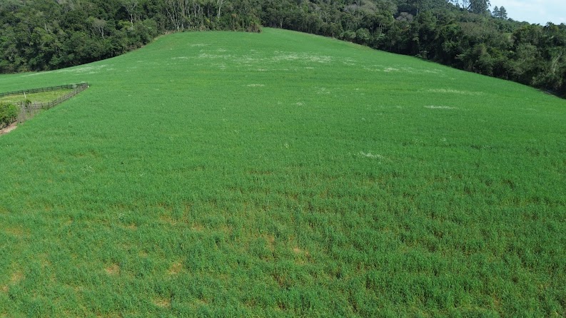 Vista do terreno rural com acesso e área de cultivo