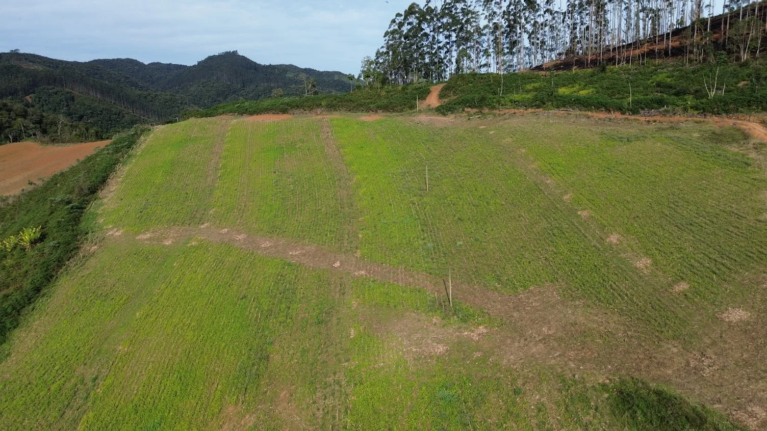 Área aberta para cultivo na propriedade rural em Apiúna/SC