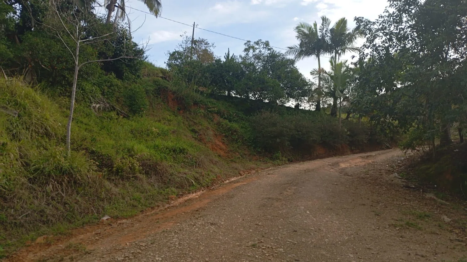 Estrada interna da propriedade rural em Apiúna/SC